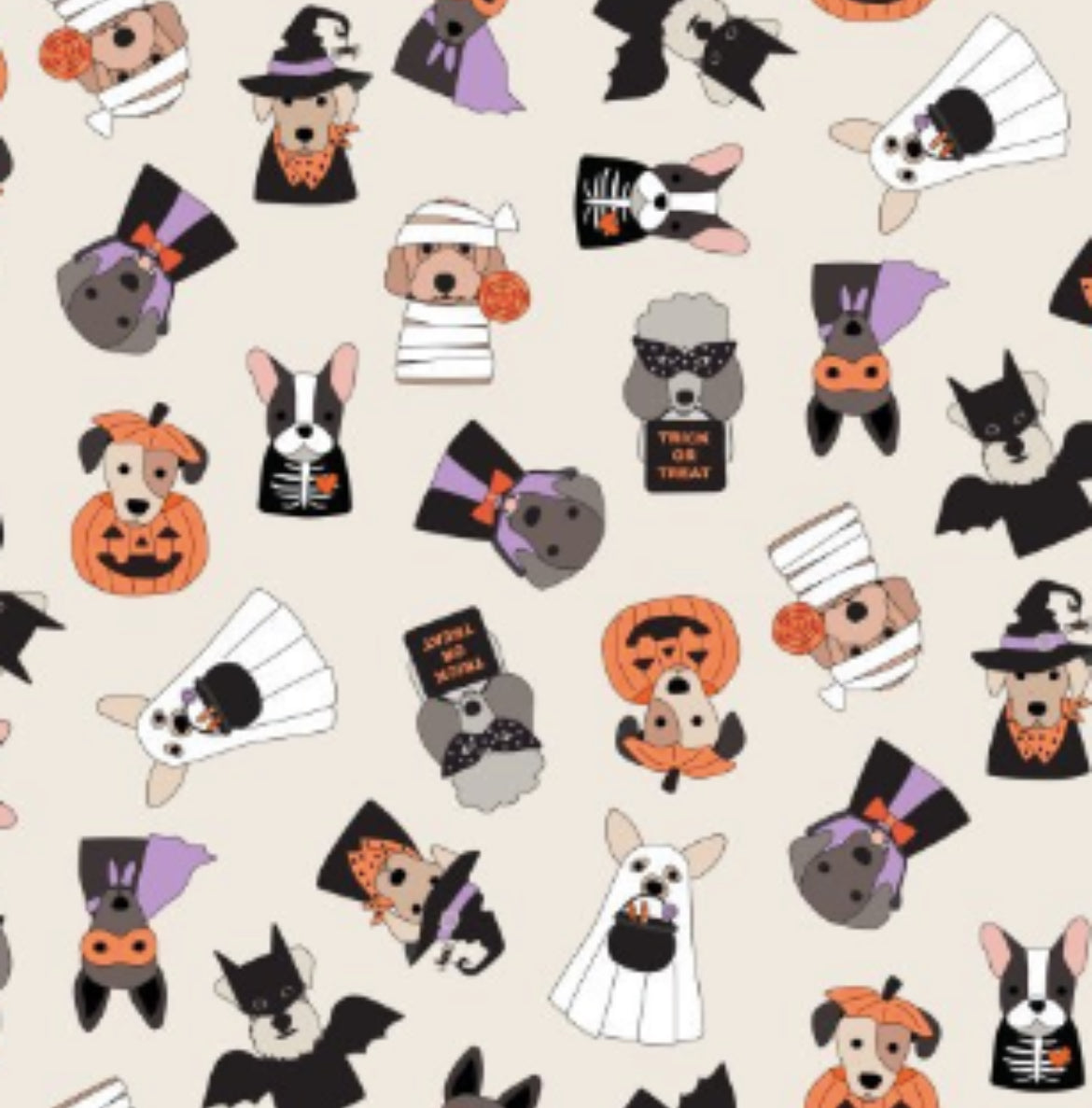 Halloween Trick or Treat Bags